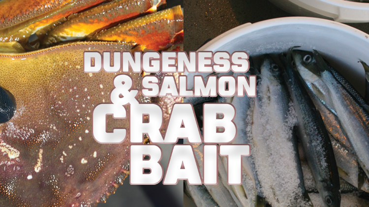 DUNGENESS & SALMON CRAB BAIT | The Reel News